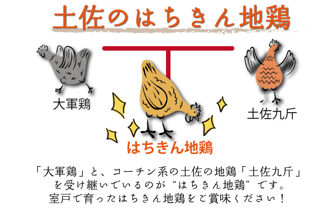 【ふるさと納税】はちきん地鶏 もも肉 1kg モモ肉 鶏肉 鳥肉 とり肉 冷凍 国産 送料無料