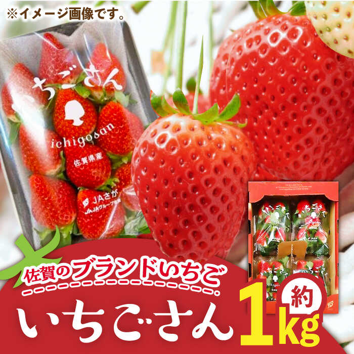 【ふるさと納税】【先行予約】佐賀のブランドいちご いちごさん 約1kg（約250g×4p）/中村青果店[UDK007]