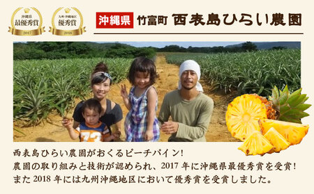 2024年 先行予約 ピーチパイン 約7kg 8～10玉 濃密 "いってＱ"でも紹介された 西表島ひらい農園 パイン パイナップル 果物 フルーツ
