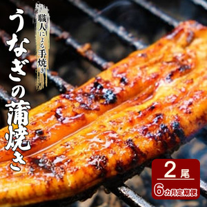 うなぎ 手焼きうなぎの蒲焼き 職人 うなぎ【2尾×6回】【定期便】