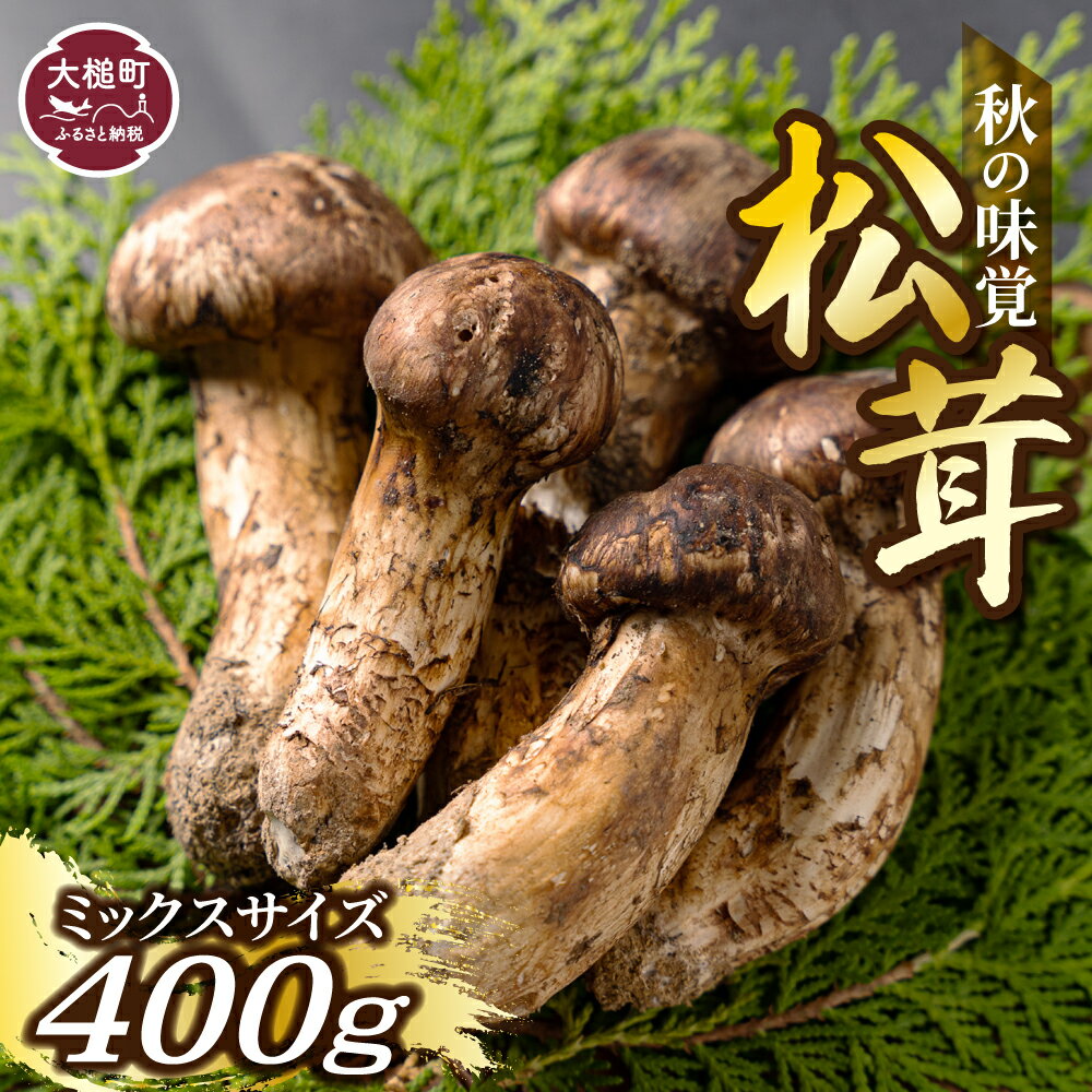 【ふるさと納税】【先行予約｜令和7年10月より発送】松茸 400g 岩手 県 産 国産 まつたけ マツタケ 期間限定 ふるさと納税松茸 ミックス サイズ 岩手県大槌町 土瓶 蒸し 天然 季節限定 産地直送 希少 採れたて 山の幸 きのこ MOMIJI 送料無料 いわて マラソン 買い回り