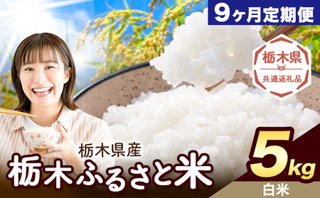 【9ヶ月定期便】米 栃木 ふるさと米 白米 5kg《定期は翌月より出荷開始》栃木県 野木町 米 白米 精米 国産 お米 おこめ お弁当 おにぎり【栃木県共通返礼品】