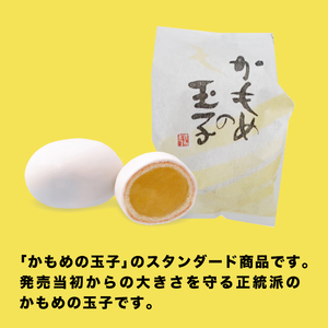 かもめの玉子４個入り×12パック入り (計48個) お菓子 スイーツ 洋菓子 銘菓 大船渡 岩手県 卵型 お茶菓子 焼き菓子 焼菓子 餡 おやつ お土産 手土産 さいとう製菓