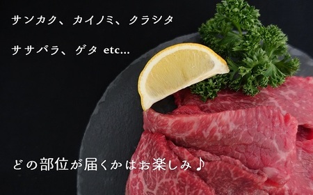 No.031 【数量限定】松川牧場のこだわり牛肉 BBQ 焼肉セット 600g 国産牛