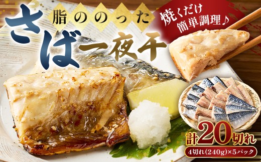 脂ののったさば一夜干　4切れ240g×5パック mi0050-0001