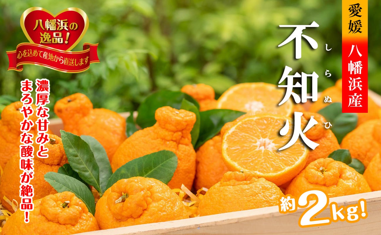 
                  2027年2月～順次出荷　甘さと酸味の絶妙なバランス!はじける果肉「不知火」約2キロ＜B39-75＞【1620481】 YWTF050
                