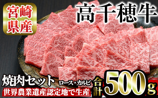 高千穂牛 焼き肉セット(ロース・カルビ各250g)【MT010】【JAみやざき 高千穂牛ミートセンター】