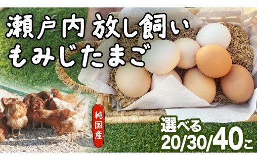 
                  大崎上島産 もみじの 卵 【 選べる内容量 】 たまご 玉子 タマゴ 鶏卵 20個 30個 40個 広島県 卵かけご飯
                