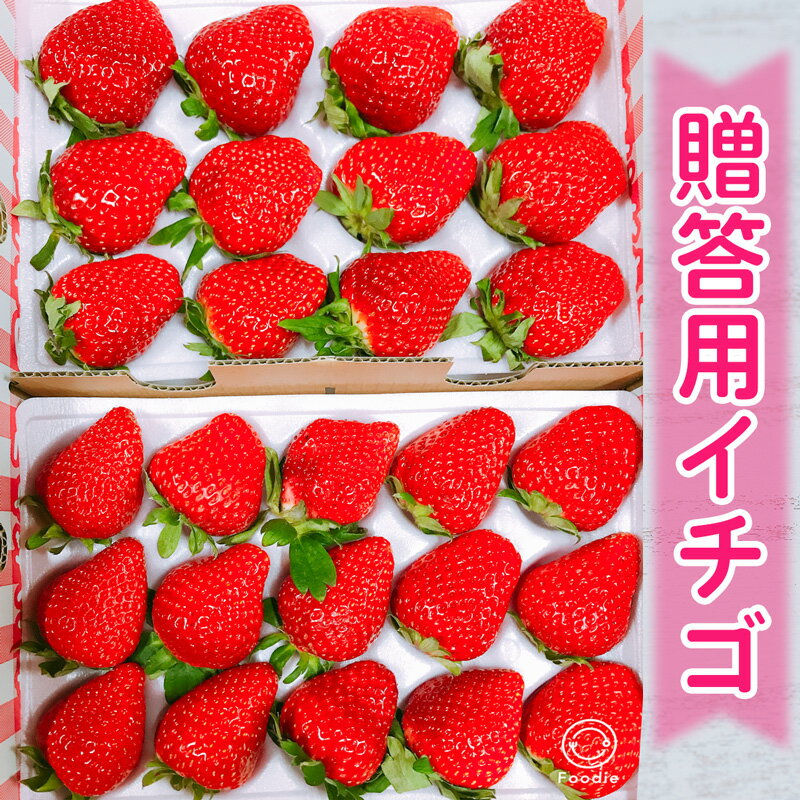 【ふるさと納税】和田農園 イチゴDX｜いちご 苺 直送 デラックス 贈答 プレゼント 印西 千葉 [0531]
