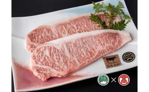 【ふるさと納税】【皆生菊乃家】鳥取和牛 A4ランク以上 サーロインステーキ用 180g×2枚 計360g（大山ブランド会）【38-CE6】肉 ブランド牛 和牛 牛肉 国産 鳥取県産 肉 グルメ お取り寄せ グルメ 鳥取県 米子市