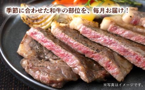 【全12回定期便】長崎和牛丸ごと一頭 堪能！ 総計6.2kg以上 サーロイン モモ イチボ シャトーブリアン 焼肉 ステーキ 長崎和牛 希少部位 【夢ファームシュシュ】 [WF15]