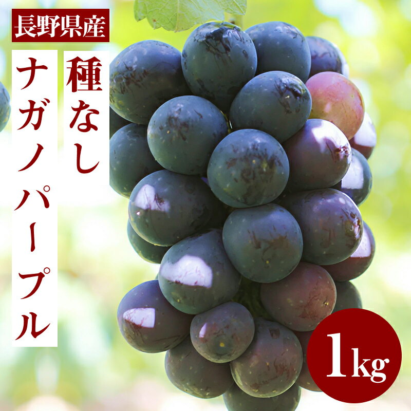 【ふるさと納税】 ぶどう ナガノパープル 皮ごと OK! 長野県産 種なし ナガノパープル 約1kg 秀品 〈2025年8月下旬〜9月下旬発送〉 | 果物 くだもの フルーツ ぶどう ブドウ 葡萄 ナガノパープル 種なし 長野県 信州 南信州 飯田市 B31