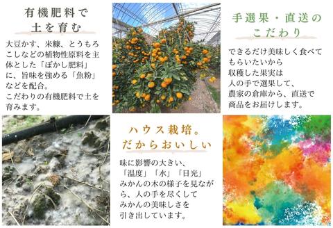 『先行予約』【令和7年6月上旬発送】夏の極上ハウスみかん「夏織」1.3kg  贈答箱・ギフトボックス入り ～海と空と、みかん～ 甘くてとろける夏の果物に ミカン フルーツ 柑橘