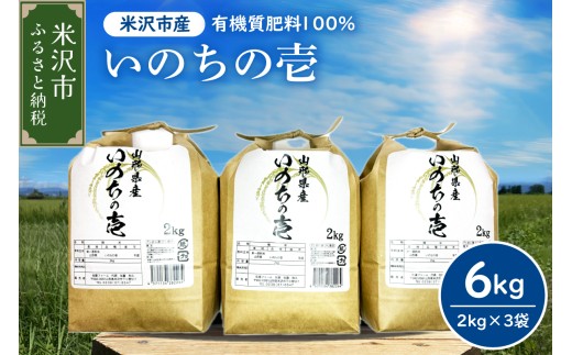 【先行予約】令和8年産 2026年10月発送分 山形大粒大満足セット 計 6kg 〔 いのちの壱 2kg × 3袋 〕 農家直送 2026年産