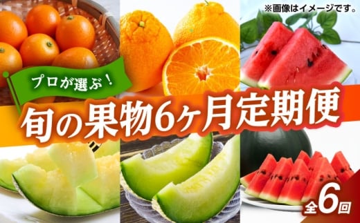 フルーツ6ヶ月定期便　【2月～7月】　【くまふる】 [ZBG077]