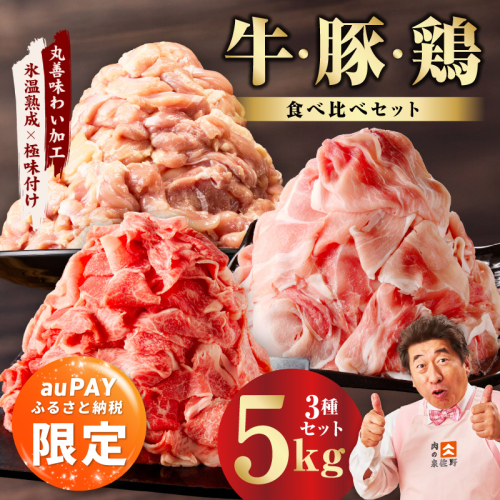 【auPAYふるさと納税限定】国産 牛肉＆豚肉＆鶏肉セット 5kg【スピード発送 氷温熟成×極味付け 3種 食べ比べ 普段使い 味付き 小分け 訳あり サイズ不揃い 】 mrz0368a