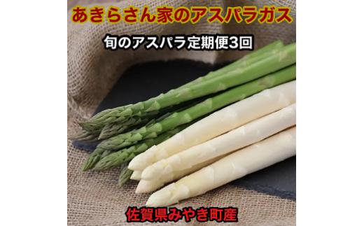 
            【定期便】《あきらさん家のアスパラガス》旬のアスパラガス3回
          
