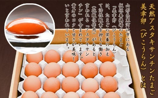 【2026年9月10日頃発送】卵 美幸卵 50個（割れ保証10個含む）※配送不可 沖縄・離島 たまご 玉子 山形 板垣養鶏場　013-G-BK006-09 ●2026年9月10日頃発送