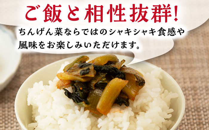 【12回定期便】ちんげん菜キムチ 2袋セット /おかわりのうえん [UDD008] 漬物 チンゲンサイ キムチ 野菜