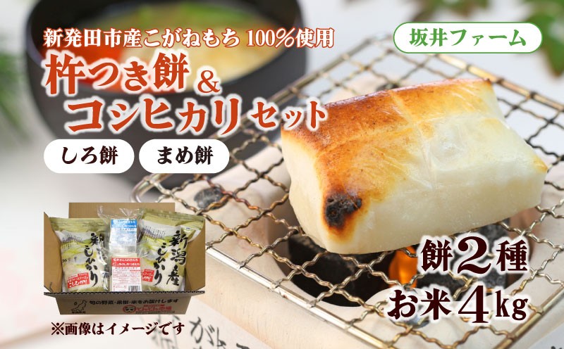 
                  餅 2種 コシヒカリ 4kg セット もち 豆もち 期間限定 杵つき餅2種と特別栽培米コシヒカリ(4kg)セット  2kg 4kg  ふるさと直送 産地直送  おもち おこめ こめ 米 セット 詰め合わせ 特別栽培米 コシヒカリ お雑煮 新潟県 新潟 新発田 新潟県 新潟産  C45_03
                
