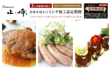 ミンチ加工品セット ハンバーグ ミートボール ソーセージ ミンチ加工品セット【各3パック】【定期便3ヶ月】
