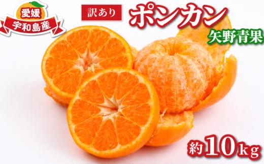 訳あり ポンカン 約 10kg 矢野青果 わけあり 訳あり品 訳有り 訳アリ 愛媛みかん 愛媛ミカン みかん ミカン ミカン フルーツ 柑橘 蜜柑 mikan 果物 くだもの 甘い コク 人気のみかん 美味しい 産地直送 数量限定 国産 愛媛 宇和島 B012-171031