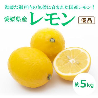 ふるさと納税 松山市 瀬戸内海の島レモン(家庭用・優品)約5kg