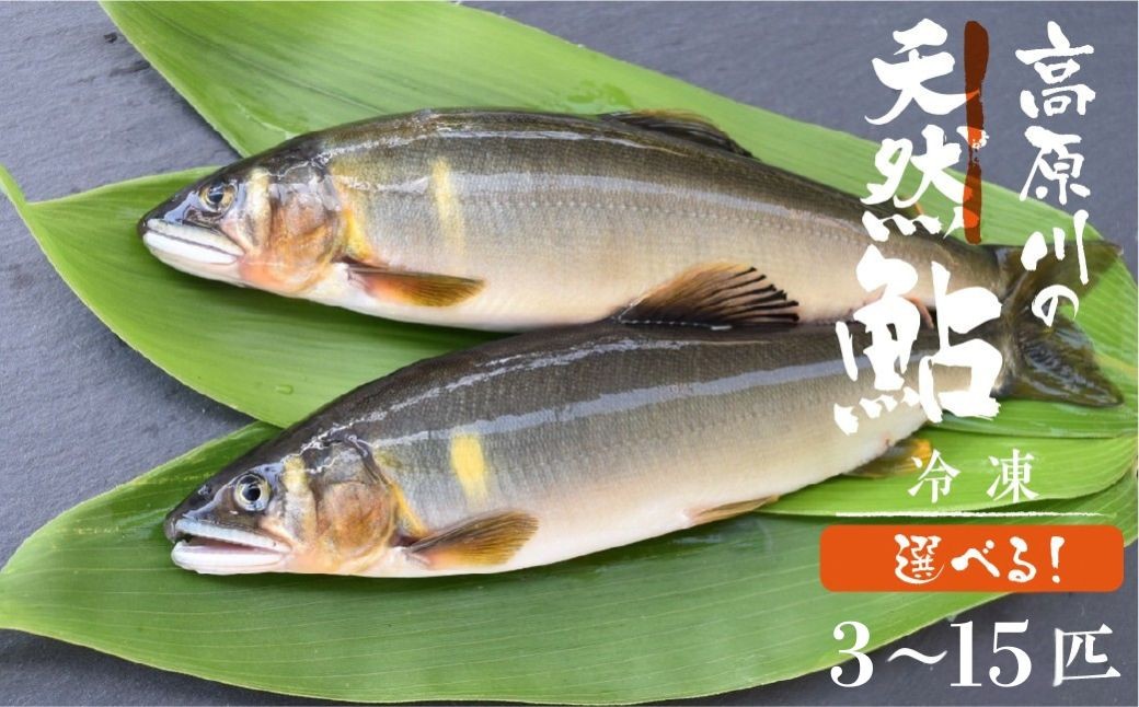 
                  ＜8月から寄附額改定＞＼2025年利き鮎グランプリ受賞／先行予約 高原川の天然鮎 3～15匹(17~20cm) 鮎 あゆ アユ 川魚 魚 サカナ 高原川 天然 冷凍 個包装 アウトドア バーベキュー BBQ 魚 飛騨市 10000円 20000円 30000円 40000円 50000円 1万 2万 3万 4万 5万 ポッキリ
                