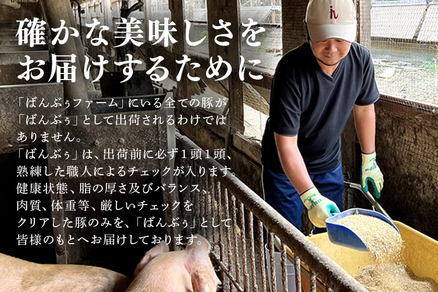 ブランド豚「ばんぶぅ」切り落とし 2.0kg(500g×4パック) 42-AU