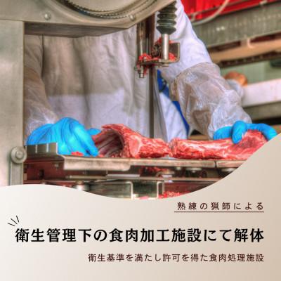 ふるさと納税 みやき町 犬の無添加おやつ☆燻製ジビエジャーキー_SS924 |  | 02
