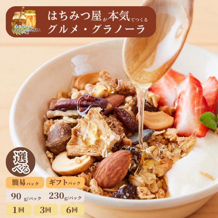 グラノーラ 無添加 国産はちみつ使用 【ノラノーラ ミケ&クロ】ココナッツ・ショコラ 簡易包装 2個セット（250g×2)_A-MT-A17A