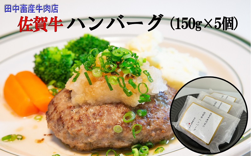 
田中畜産牛肉店 佐賀牛ハンバーグ750g(150g×5個)
