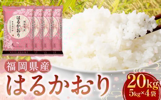 【令和7年産新米】はるかおり 精米 20kg  香春町【2025年10月上旬発送開始】 ／ ふるさと納税限定 ふるさと納税限定品 お米 米 白米 食品 ご飯 飯 九州 福岡県 香春町 令和7年産 令和7年  新米