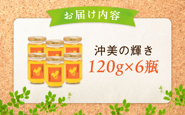 【全12回定期便】まじりっけなし！江田島産100％!はちみつ『沖美の輝き』120g×6本セット ハチミツ ハニー 蜂蜜 国産 広島県 江田島市/はつはな果蜂園 [XCD023]