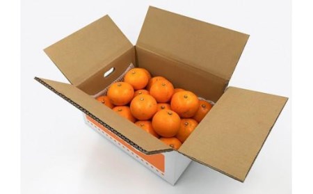 愛果28号 (紅まどんな と同品種) 小玉 約3kg 【2026年11月中旬頃から発送予定】 | あいか みかん みかん みかん みかん みかん【KK0602】