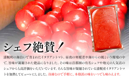 北海道産 調理用 イタリアントマト 1kg スープ レトルト 冷凍食品 惣菜 浦幌