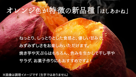 さつまいも 【 紅はるか ・ ほしあかね 】 5kg ( 箱込 )の 2箱セット