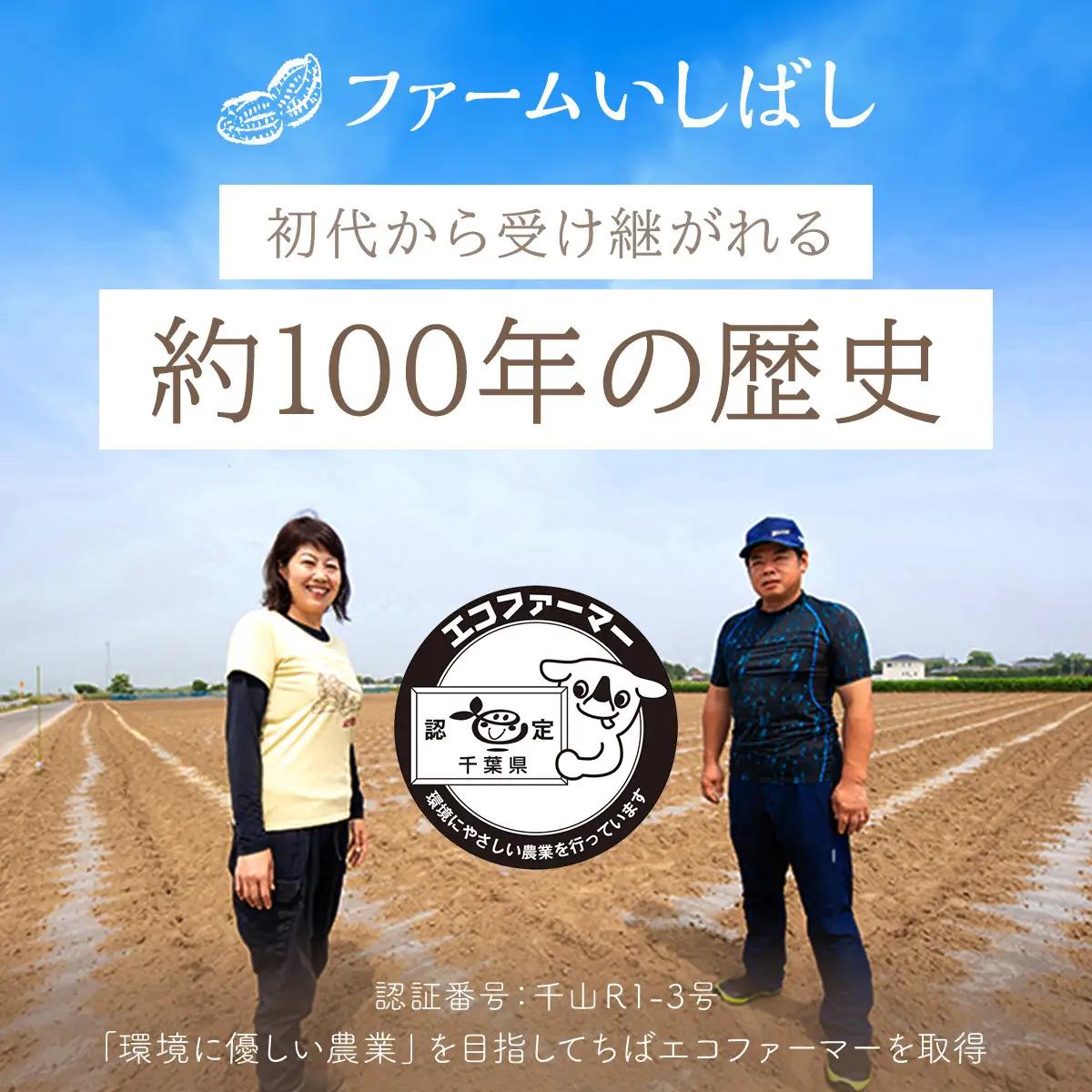 【先行予約】【11月上旬から発送】落花生・Ｑなっつのアイス10個セット（プレーン5個・キャラメルピーナッツ5個） ／ふるさと納税 ピーナッツ ナッツ 豆 落花生 アイス 千葉県 山武市/豆 甘い 落花
