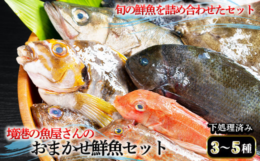 ＜平日着※指定日不可＞境港の魚屋さんのおまかせ鮮魚セット(3～5種) 下処理済み【sm-DD013・sm-DD014】【Workplays】