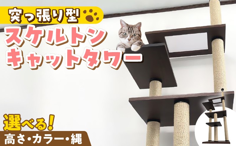 
                  スケルトンキャットタワー XLB-P _ キャットタワー スケルトン 突っ張り型 猫 猫用 透明 クリアボウル 家具調仕上げ インテリア 重厚感 高級感 多頭飼い おすすめ 運動不足解消 ストレス解消 安心 安全 耐久性 組立式 受注生産 日本製 国産 ペット用品 お取り寄せ 福岡県 久留米市 送料無料 _Qx089
                