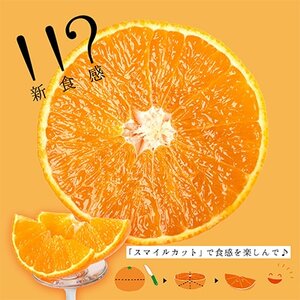 (熨斗付き)コウ果樹園の「厳選　華まどんな」3kg(4L～L　8～15玉)【E33-47】【1526083】