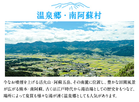 【絶景を愉しむ】宿を選べる南阿蘇ペア平日1泊2食付き宿泊券／竹プラン《30日以内に出荷予定(土日祝を除く)》 熊本県南阿蘇村 ギフト 旅館 温泉 一般社団法人みなみあそ観光局---isms_mkanyadotk_30d_24_173500_2p--