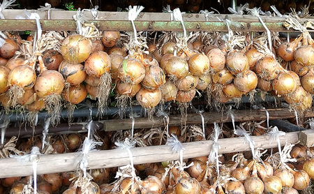 ふれあい市の会 つり玉ねぎ 5kg 淡路島 玉ねぎ タマネギ 野菜 旬の野菜 季節の野菜 兵庫県 洲本市 淡路島