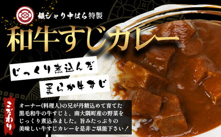 ［4種類］＼日本料理人の手作り／ 鹿児島県産 黒毛和牛レトルトパック 4種セット ≪合計8パック≫ GN-6｜鹿児島県 南大隅町 あたためるだけ 黒毛和牛 牛すじ 牛肉 カレー ビーフシチュー ミート