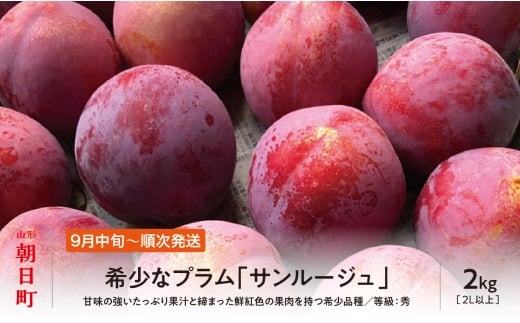 ＜先行予約＞プラム サンルージュ ２kg 大玉 2L以上 秀品 化粧詰め 【2026年9月中旬～９月下旬発送】 山形県 朝日町産 山形産 すもも スモモ フルーツ 果物 秋