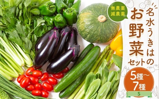 UIC 名水うきはの無農薬減農薬お野菜セットS