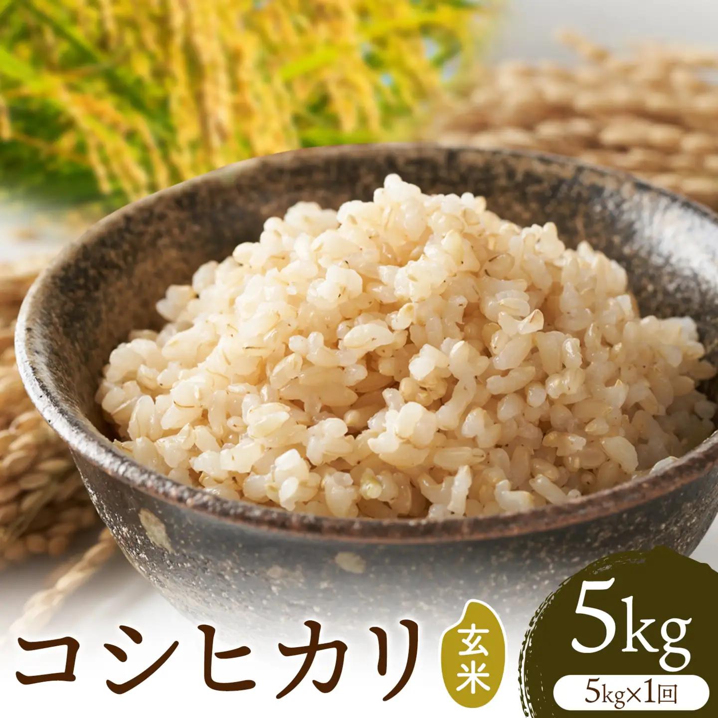 R8年産米 米 玄米 コシヒカリ 5kg《30日以内に出荷予定(土日祝除く)》