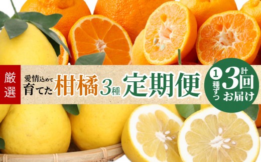 
S040-013_【定期便 3回】厳選！天草 下浦地区の農家が愛情込めて育てた柑橘3種〈先行予約〉
