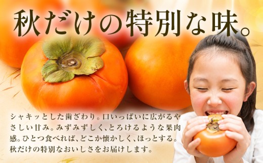【10月下旬発送指定便】柿 果物 訳あり たねなし柿 1.5kg 《2026年10月下旬発送予定》 旬 送料無料 徳島県 上板町 フルーツ かき カキ くだもの 刀根早生柿 平種無柿