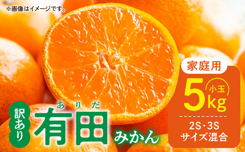 
                  DZ6205_【ふるさと納税】【2026年先行予約】 ご家庭用 有田みかん 和歌山 小玉(2S,3Sサイズ混合) 約5kg
                